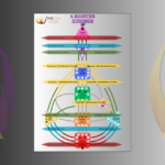 Infographic van Body Crea over de 4 soorten poortstromen binnen Human Design. De afbeelding toont een volledige Human Design bodygraph met gekleurde centra en pijlen die de vier energiestromen uitleggen: Brandstof Poorten (rood), Potentie Poorten (blauw), Mogelijkheden Poorten (groen) en Expressie | Manifestatie Poorten (geel). De verschillende poorten zijn verdeeld over de centra zoals Hoofd, Ajna, Keel, G-Centrum, Sacraal, Milt, Solar Plexus, Ego en Wortel. De infographic legt uit hoe energie, talenten, mogelijkheden en expressie zich binnen een Human Design chart bewegen.