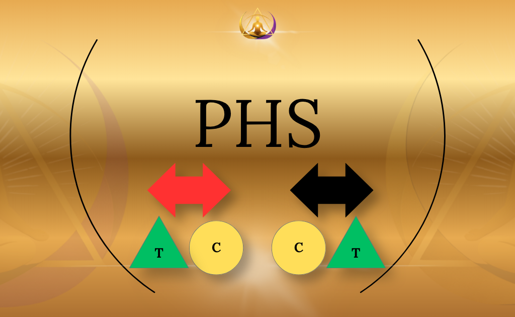 Human Design PHS en variabelen uitgelegd aan de hand van de vier pijlen op je chart